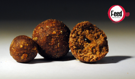 INDIAN KRAIT AGLIO E