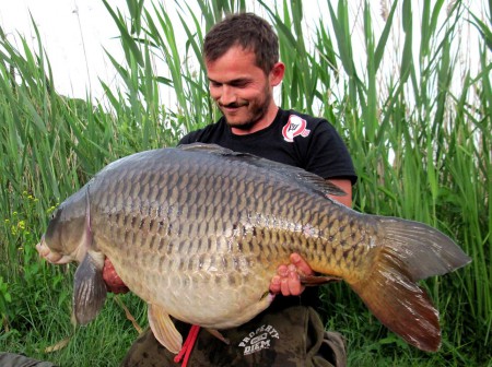 Fabio Bibi