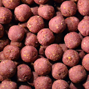 WHIP  COOLBERRY MORA